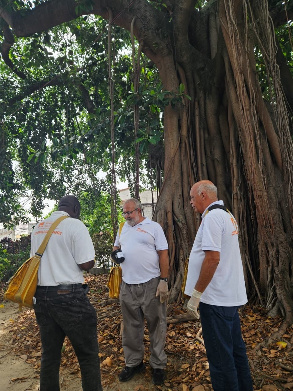 Niterói intensifica ações contra a dengue e reforça estratégia de prevenção no verão