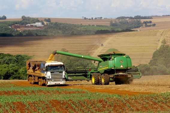 Senado vai analisar projeto com novas regras para o seguro rural