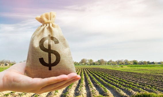 Em busca de acordo, CAE adia análise de projeto sobre crédito rural