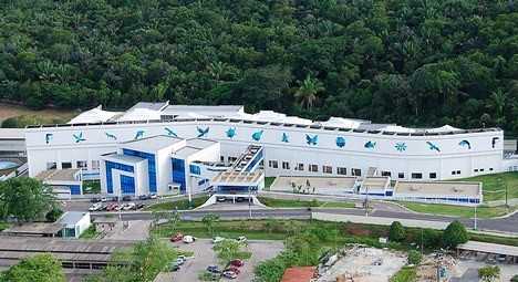 Comissão aprova criação de programa de pesquisa em biotecnologia na Amazônia Legal