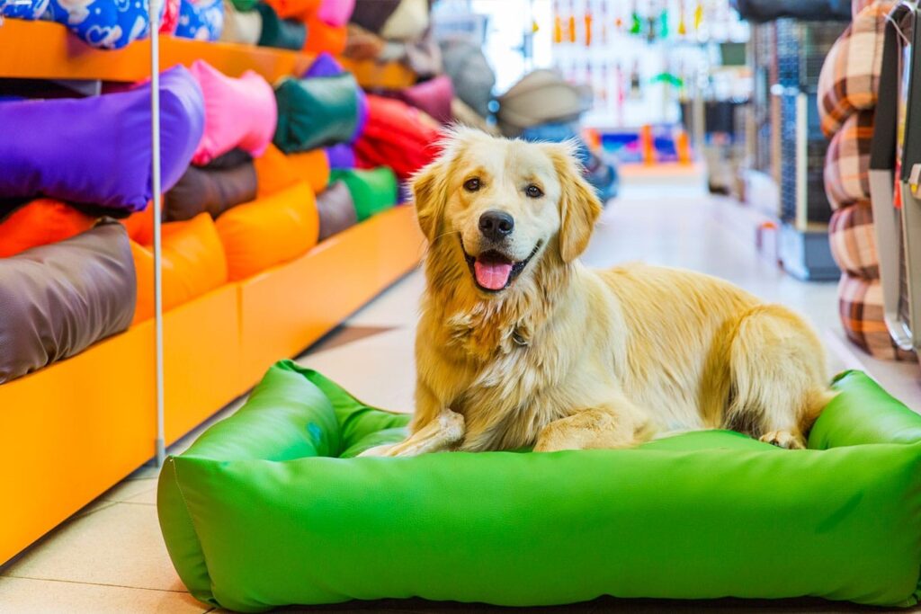 Comissão aprova inclusão de plano de saúde animal entre benefícios oferecidos a trabalhadores