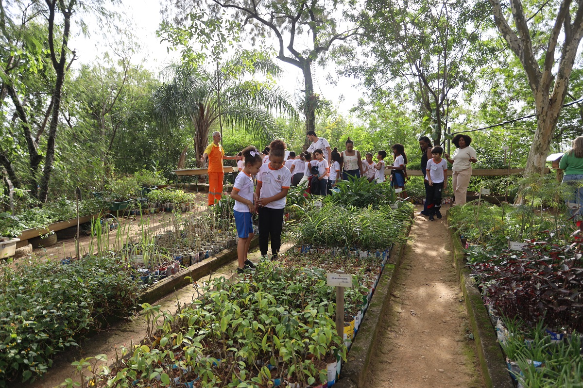 Niterói abre Semana do Meio Ambiente com ações em escolas, mutirões e sustentabilidade