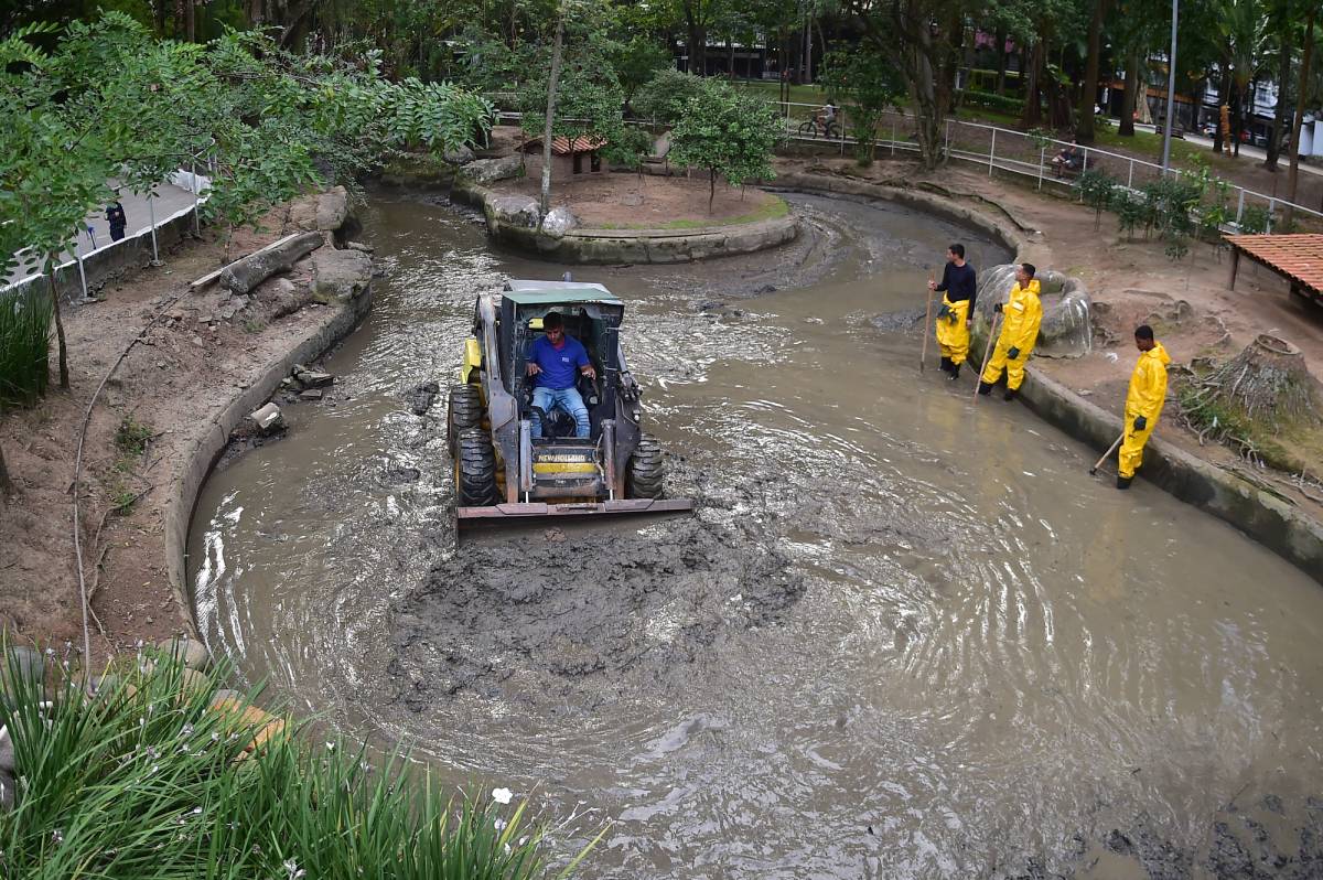 Equipes da Prefeitura começam a limpeza dos lagos do Campo de São Bento