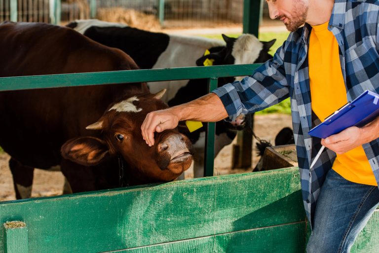 Governo veta integralmente projeto que inclui zootecnistas no piso salarial de engenheiros e veterinários