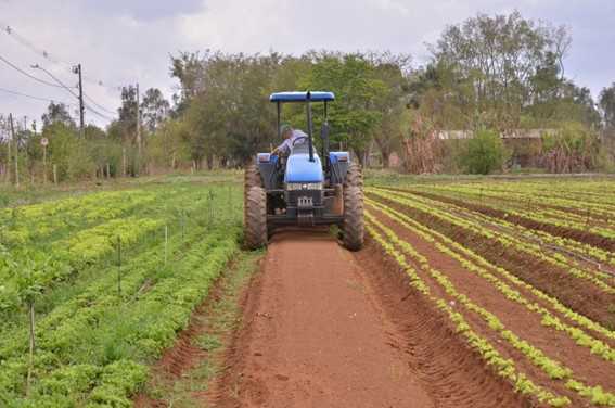 Plenário analisa programa de incentivo à produção de fertilizantes nesta terça